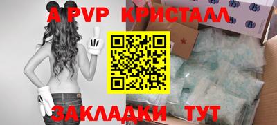 шишки Гусиноозёрск